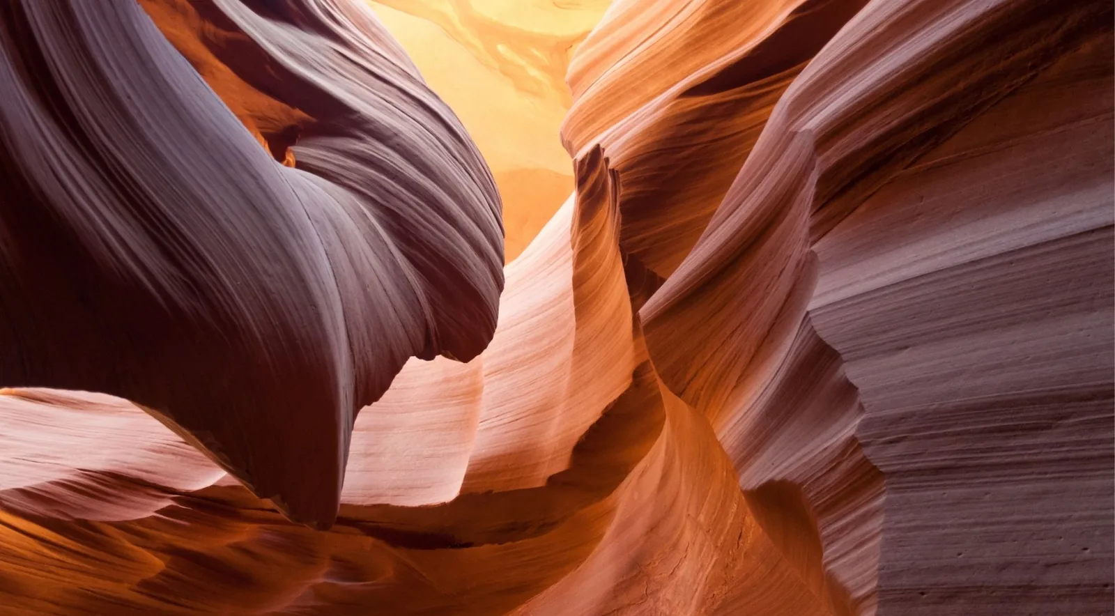 Lower Antelope Canyon tour — sandstone walls of Hazdistazí glowing amber and lavender on the Navajo Nation near Page, Arizona