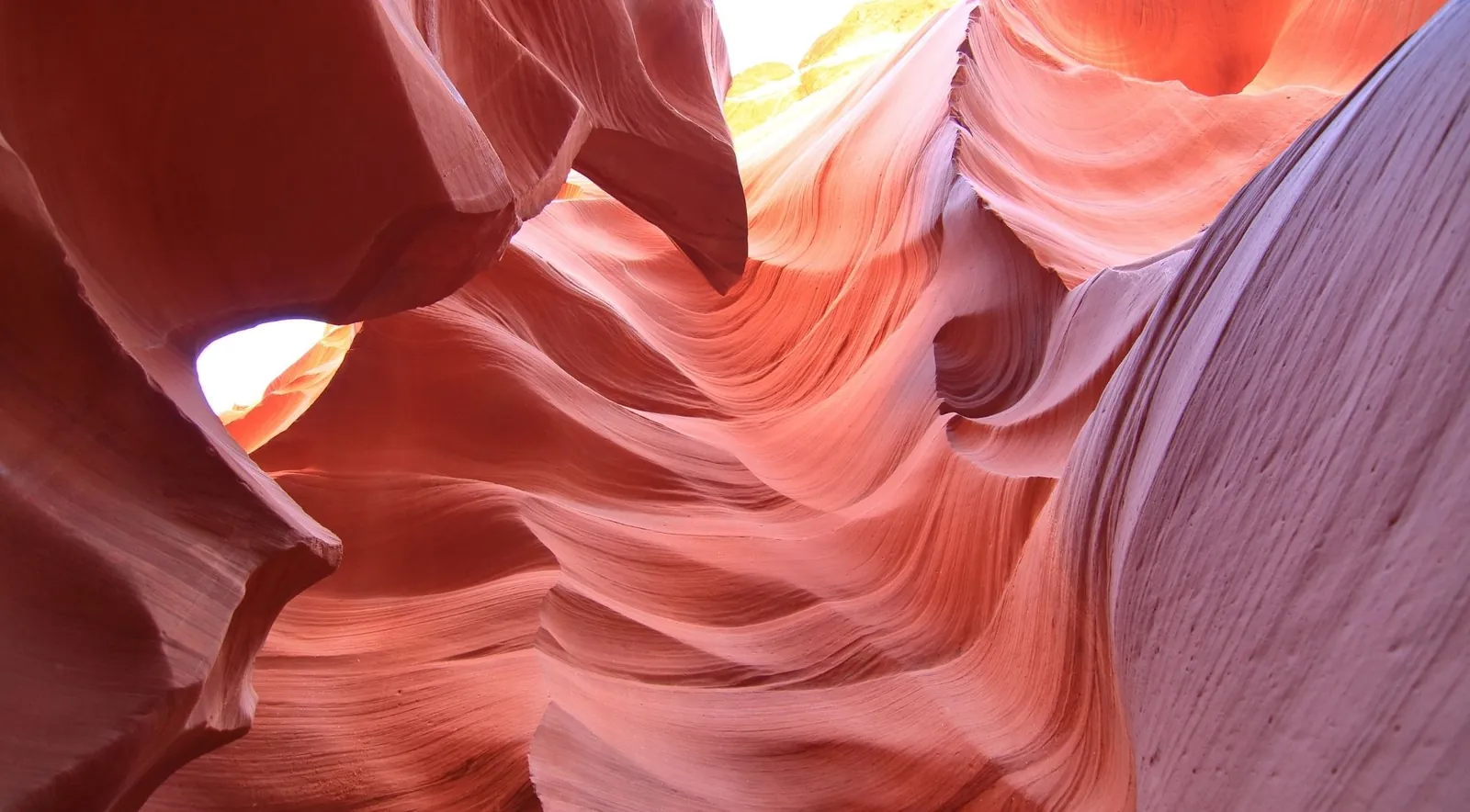 Sculpted, wave-like sandstone walls of Antelope Canyon glowing orange and purple — the look that draws visitors to compare Upper and Lower